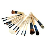 Brush- Powder