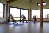 Lammas Yoga Session - 1st August