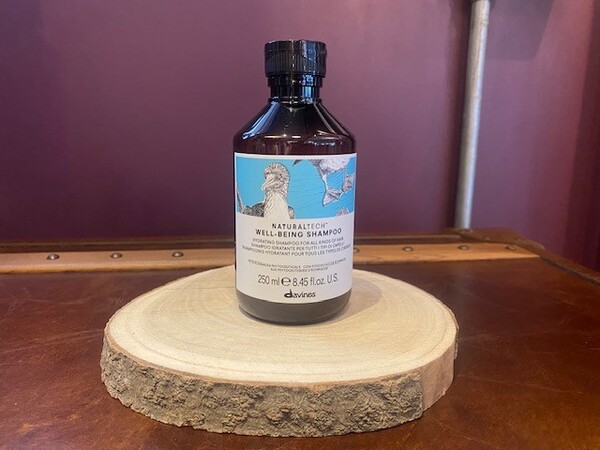 WELLBEING Shampoo 250ml