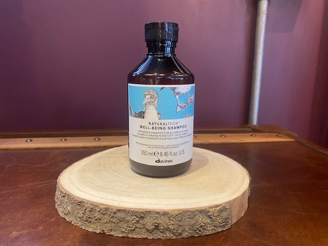 WELLBEING Shampoo 250ml