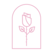 Vanity Rose