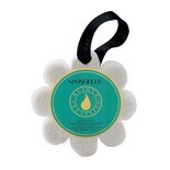 Beach grass (Flower)