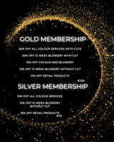  Black Friday-Silver Membership