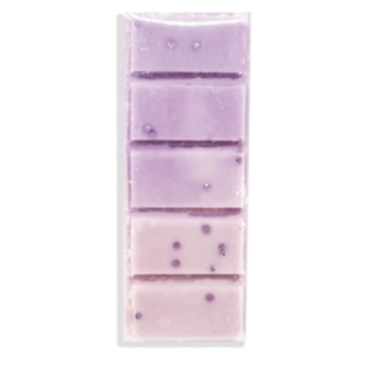 Alien Wax Melt Snap Bar