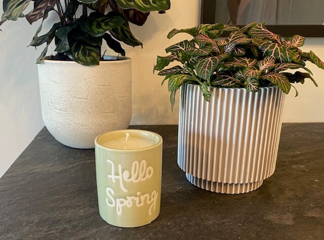 Mimosa Blosson Spring Candle 