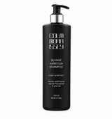 Blonde Ambition Shampoo