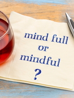Mindfulness Coaching Online Course