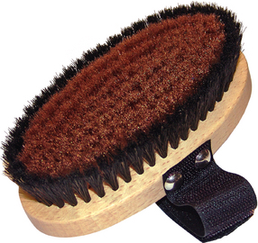 P.Jentschura, Energiaharja