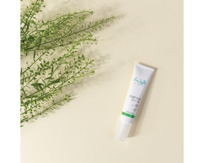 Eve taylor Purifying Spot Gel