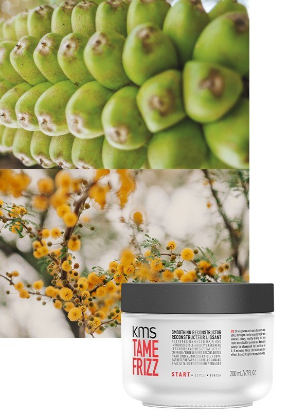 Tame Frizz Smoothing Reconstructor 200ml