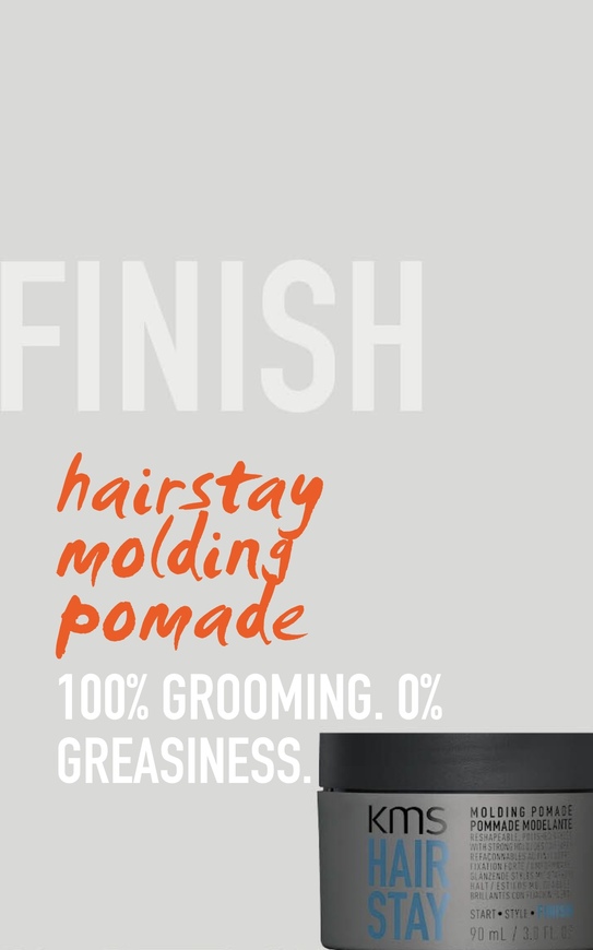 HAIRSTAY MOULDING POMADE