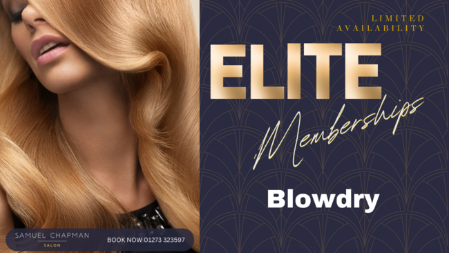 Elite Blowdry Monthly Membership